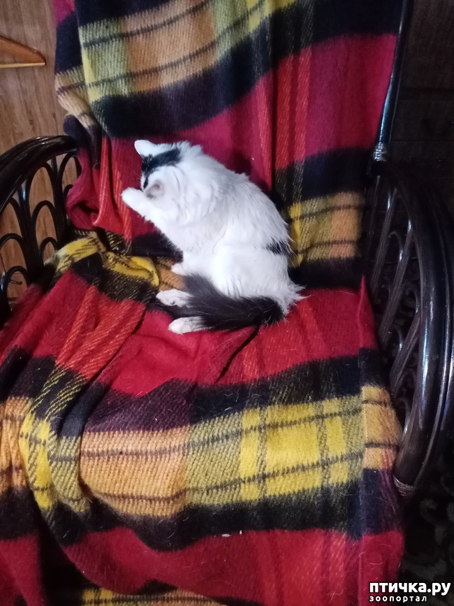 ���� 2: ��� �������� �������� ��� ���������