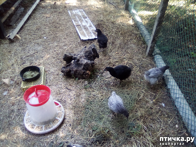 ���� 16: ��� �������, ������������!!!