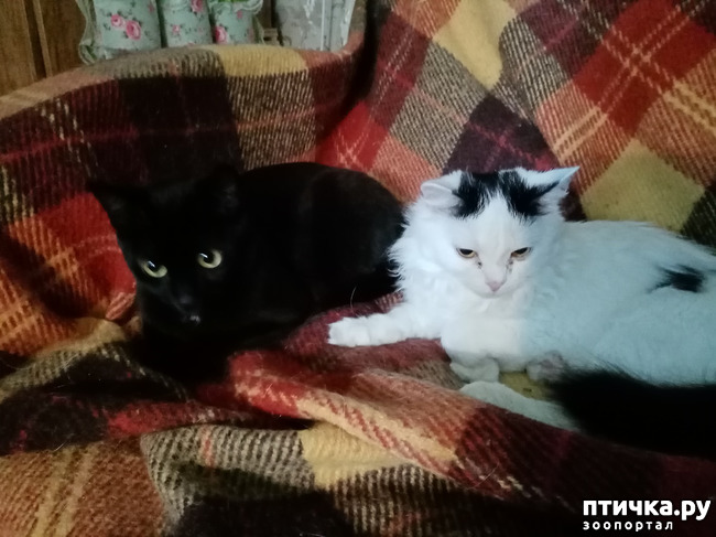 ���� 3: ��� �������� �������� ��� ���������