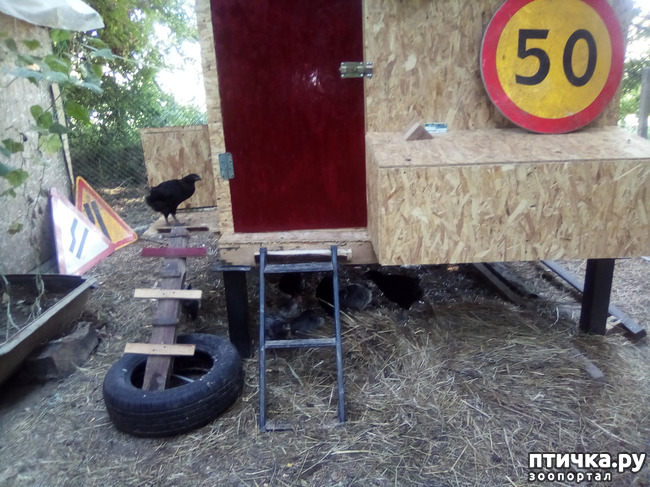 ���� 17: ��� �������, ������������!!!