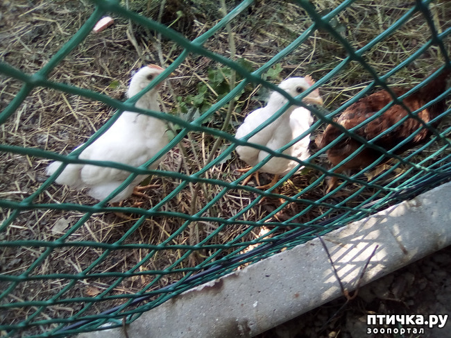 ���� 18: ��� �������, ������������!!!