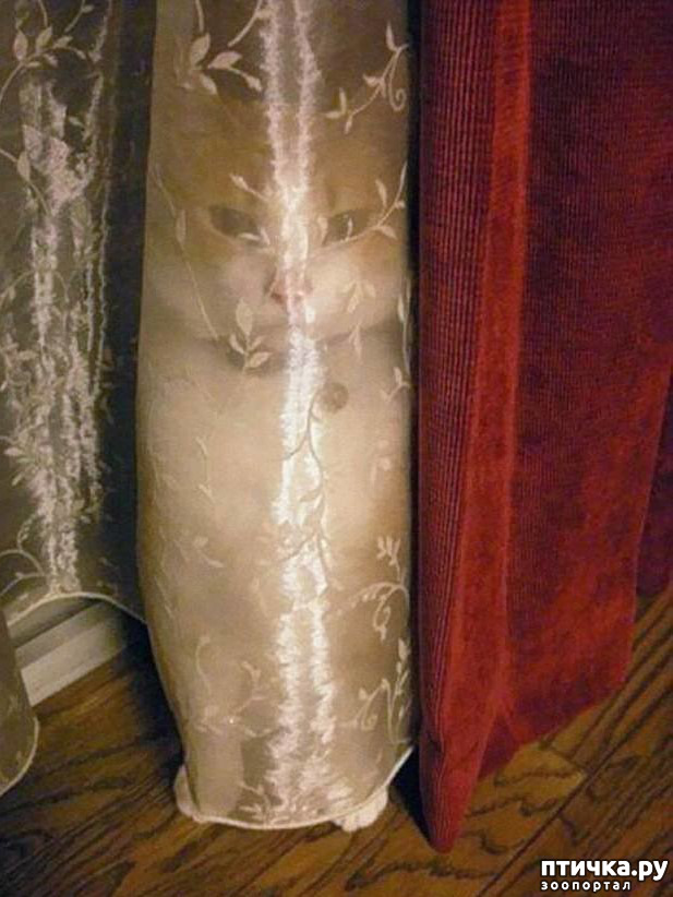 ���� 1: ����� ������� - ����� ����