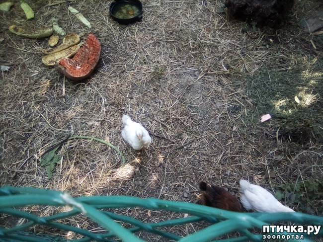 ���� 19: ��� �������, ������������!!!