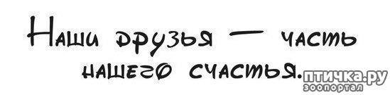 ���� 1: ��� �������, ������������!!!