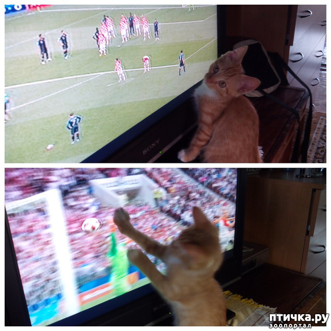 ���� 8: ������ �� �������� ��� ������