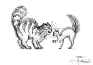 ����: ��� �������?