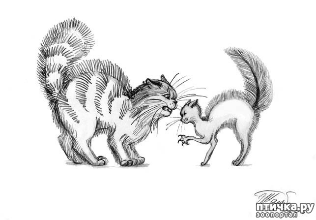 ���� 1: ��� �������?