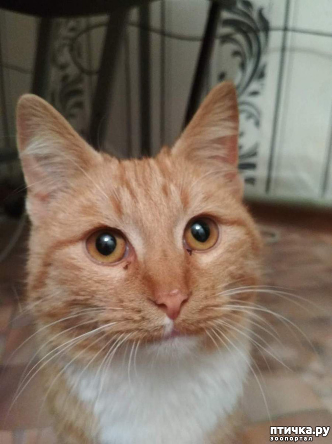 ���� 9: ������ �� �������� ��� ������