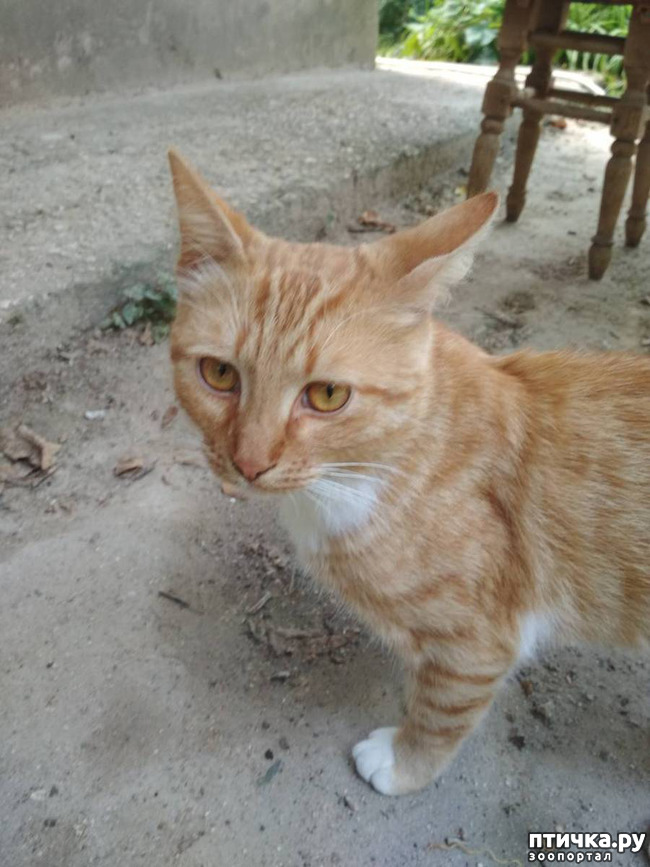 ���� 10: ������ �� �������� ��� ������