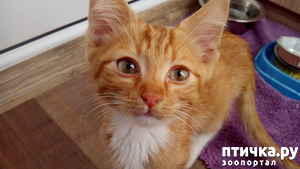 ����: ������ �� �������� ��� ������