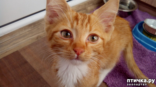 ���� 1: ������ �� �������� ��� ������