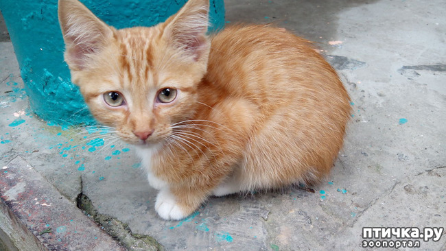 ���� 2: ������ �� �������� ��� ������