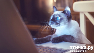 ����: ���� �� � ����� ��� ��������: ������� �����.