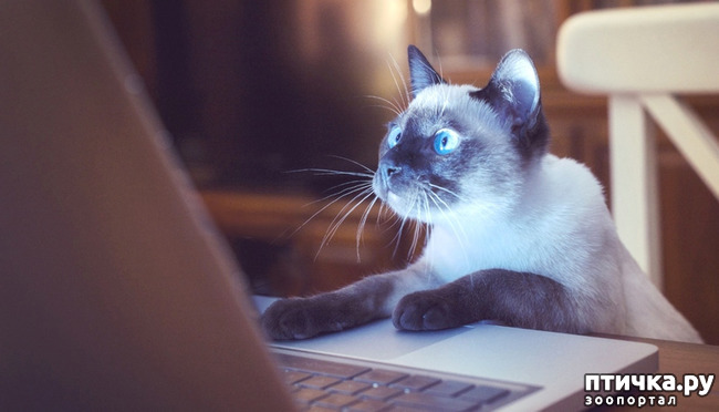 ���� 1: ���� �� � ����� ��� ��������: ������� �����.