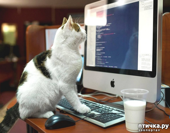 ���� 2: ���� �� � ����� ��� ��������: ������� �����.