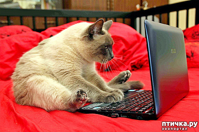 ���� 5: ���� �� � ����� ��� ��������: ������� �����.