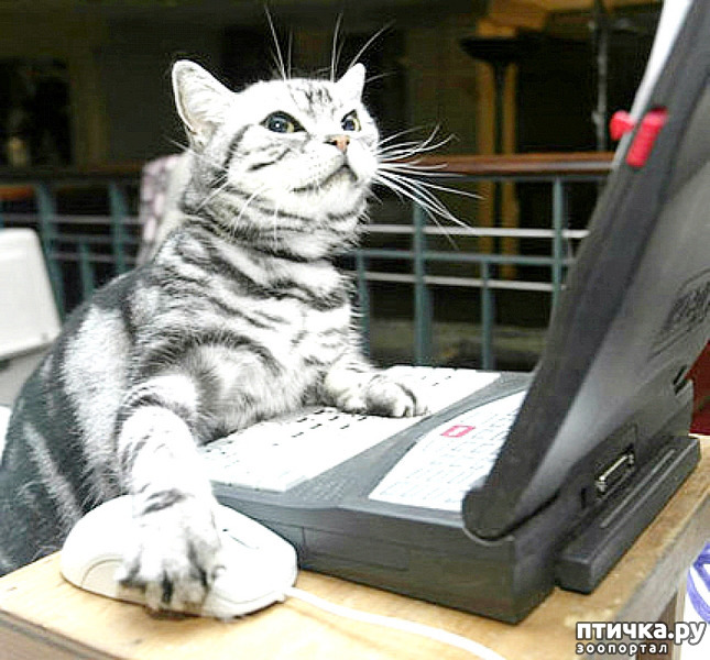 ���� 7: ���� �� � ����� ��� ��������: ������� �����.