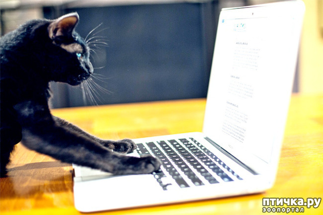 ���� 9: ���� �� � ����� ��� ��������: ������� �����.