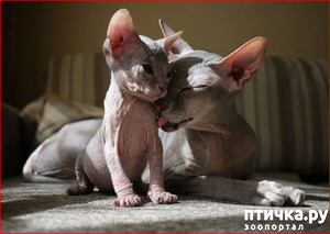 ����: ��, �� ��� �������!