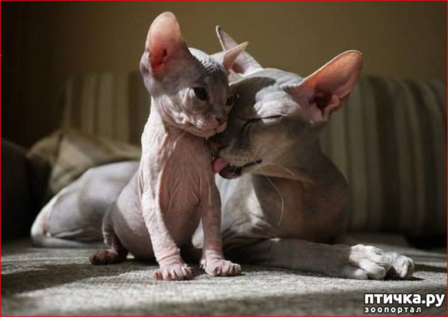 ���� 1: ��, �� ��� �������!