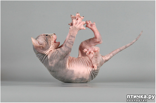 ���� 2: ��, �� ��� �������!