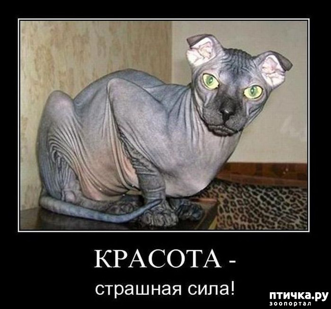 ���� 3: ��, �� ��� �������!