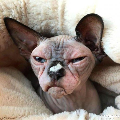 ���� 5: ��, �� ��� �������!