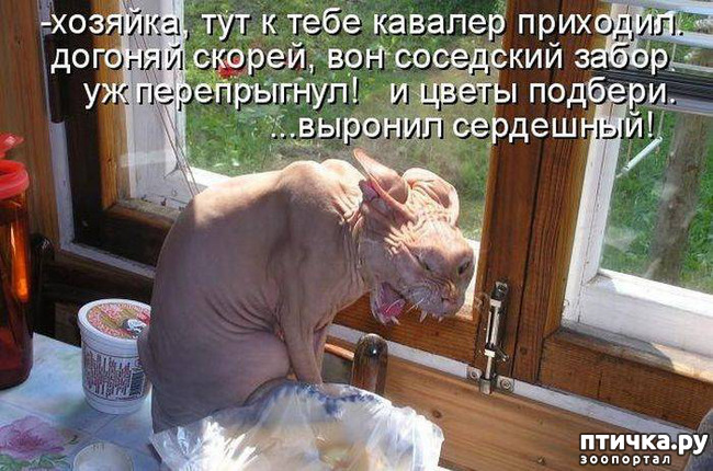 ���� 6: ��, �� ��� �������!