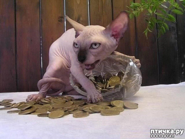 ���� 7: ��, �� ��� �������!