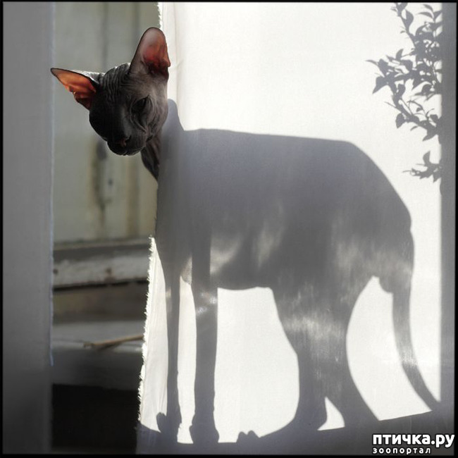 ���� 8: ��, �� ��� �������!