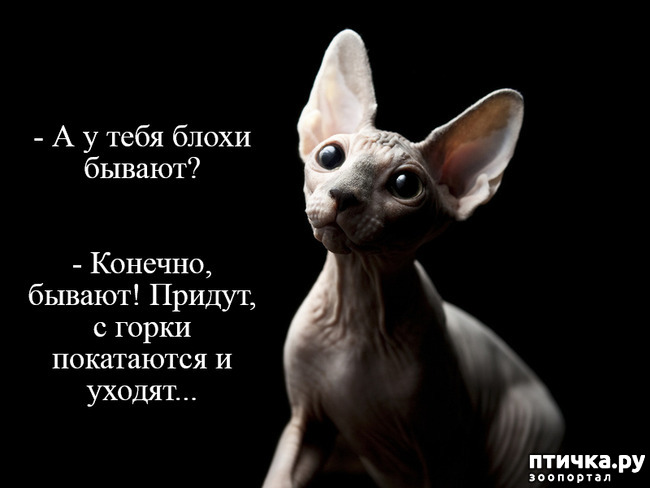 ���� 10: ��, �� ��� �������!