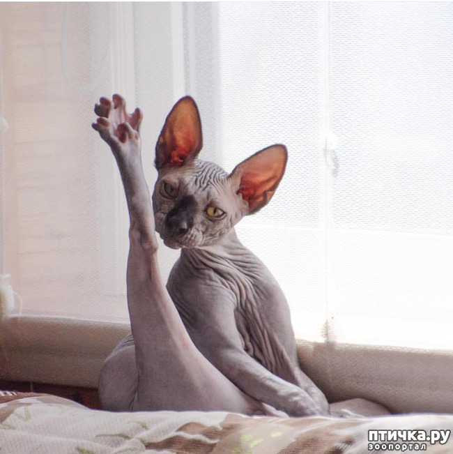 ���� 11: ��, �� ��� �������!