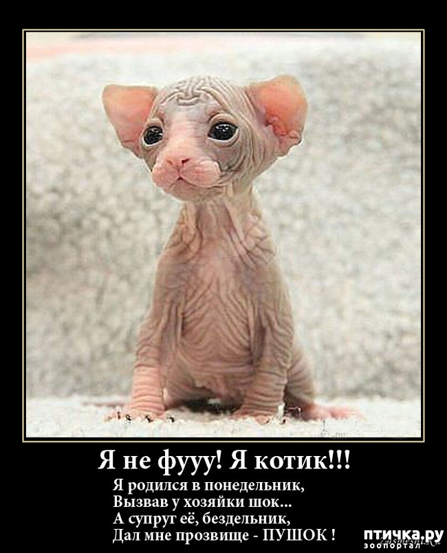 ���� 12: ��, �� ��� �������!