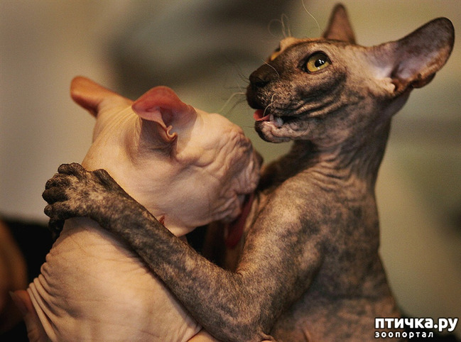 ���� 13: ��, �� ��� �������!