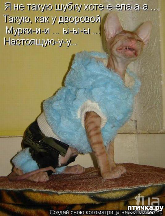 ���� 14: ��, �� ��� �������!