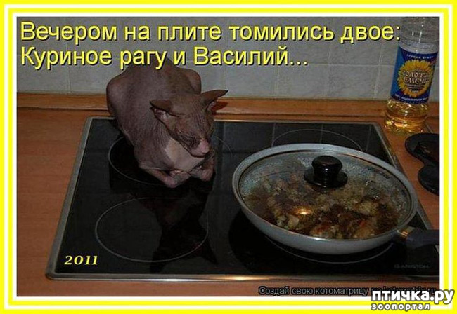 ���� 16: ��, �� ��� �������!