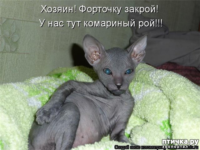 ���� 18: ��, �� ��� �������!