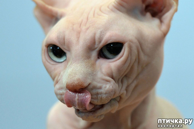 ���� 20: ��, �� ��� �������!