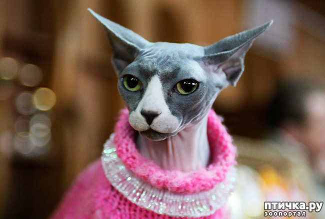 ���� 21: ��, �� ��� �������!