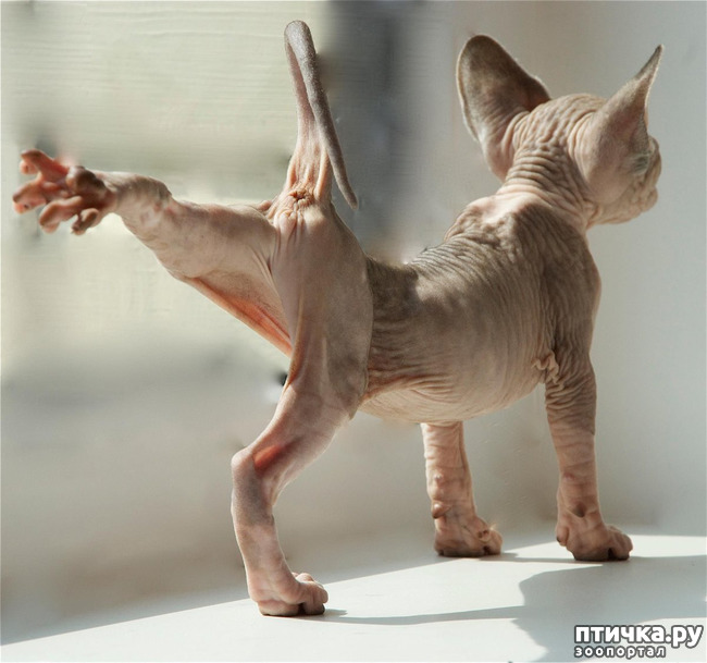 ���� 22: ��, �� ��� �������!