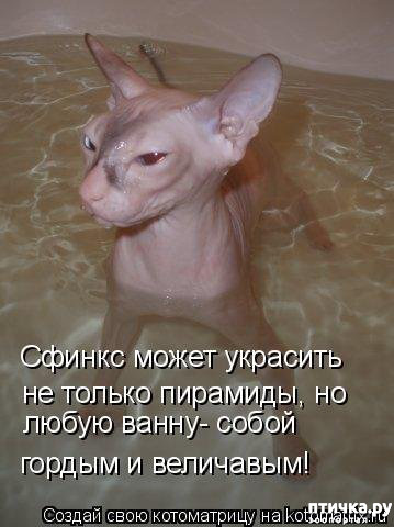 ���� 23: ��, �� ��� �������!