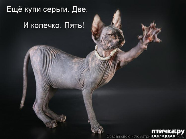 ���� 24: ��, �� ��� �������!