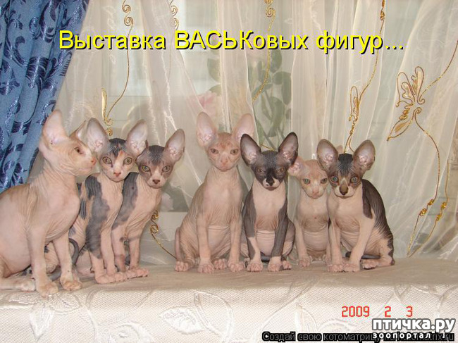 ���� 25: ��, �� ��� �������!