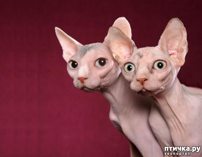 ���� 26: ��, �� ��� �������!