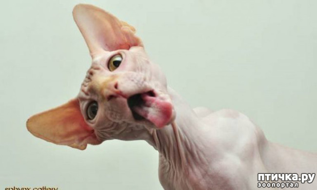 ���� 27: ��, �� ��� �������!