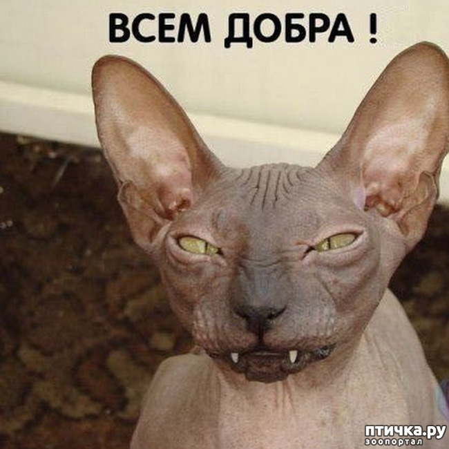 ���� 28: ��, �� ��� �������!