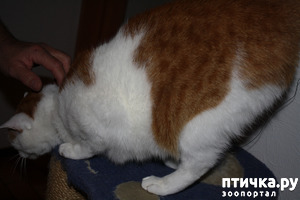 ����: ����� � ������� ������� ����� ������.