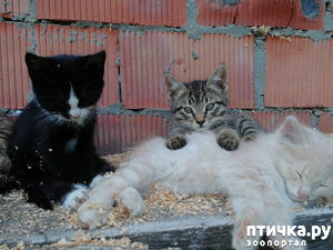 ����: ����� ��������� ���� �����