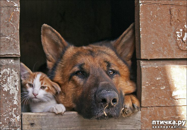 ���� 1: ��� � ��