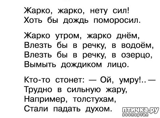 фото 1: Жарко, жарко, нету сил! Хоть бы дождь поморосил...